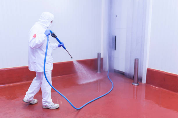 Best Oil Spill Cleanup  in St Matthews, SC